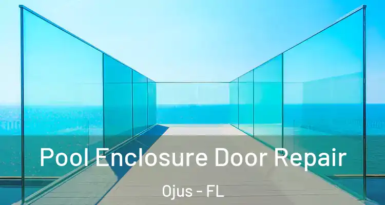  Pool Enclosure Door Repair Ojus - FL