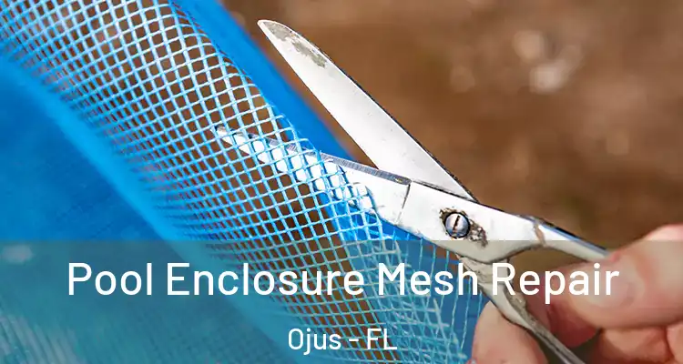  Pool Enclosure Mesh Repair Ojus - FL