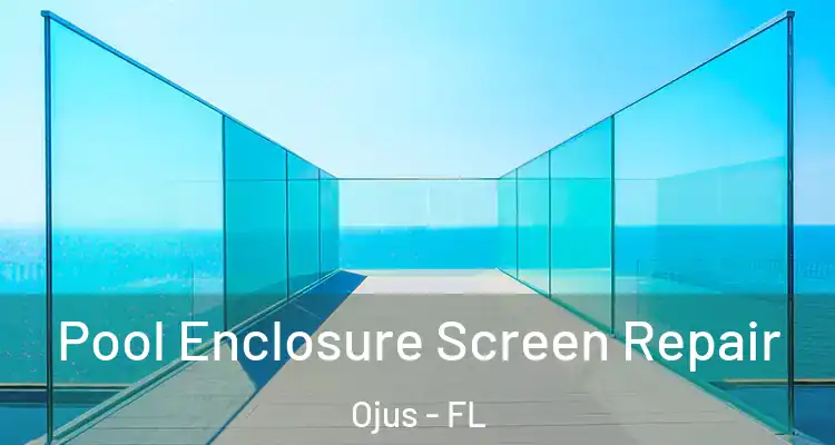  Pool Enclosure Screen Repair Ojus - FL