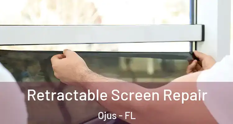  Retractable Screen Repair Ojus - FL