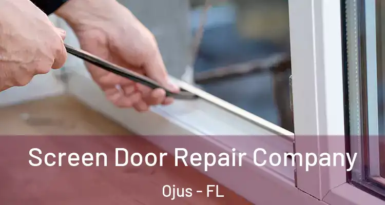 Screen Door Repair Company Ojus - FL