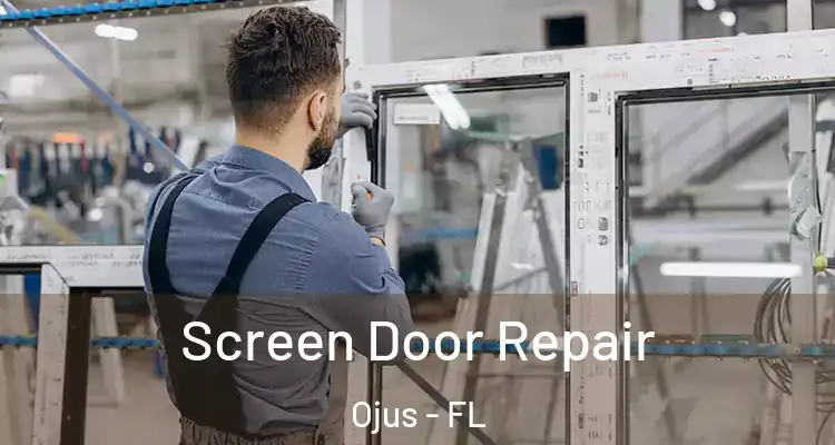  Screen Door Repair Ojus - FL