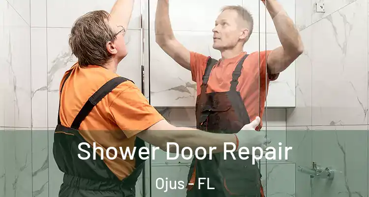  Shower Door Repair Ojus - FL