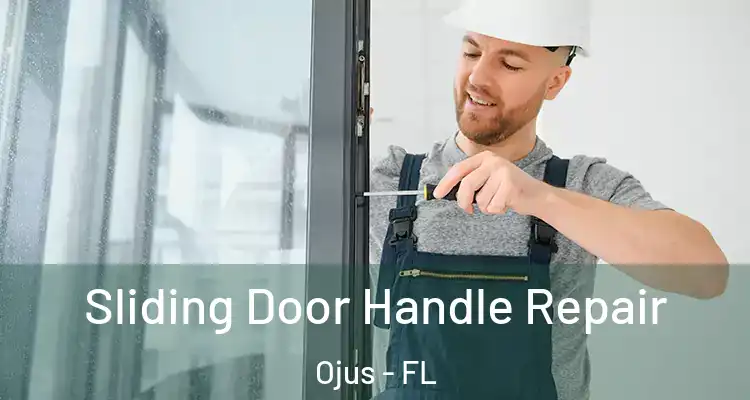  Sliding Door Handle Repair Ojus - FL