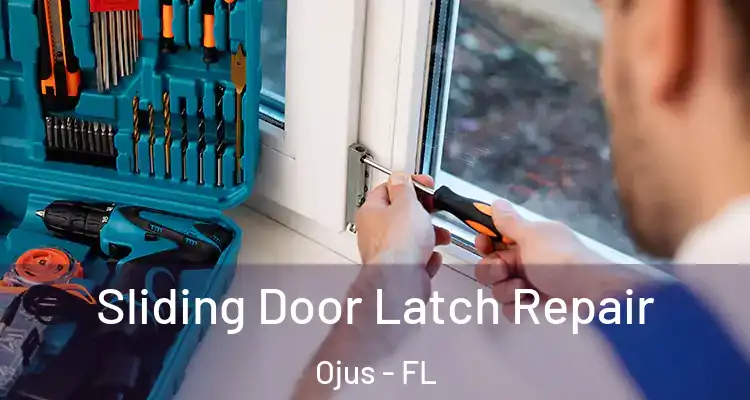  Sliding Door Latch Repair Ojus - FL