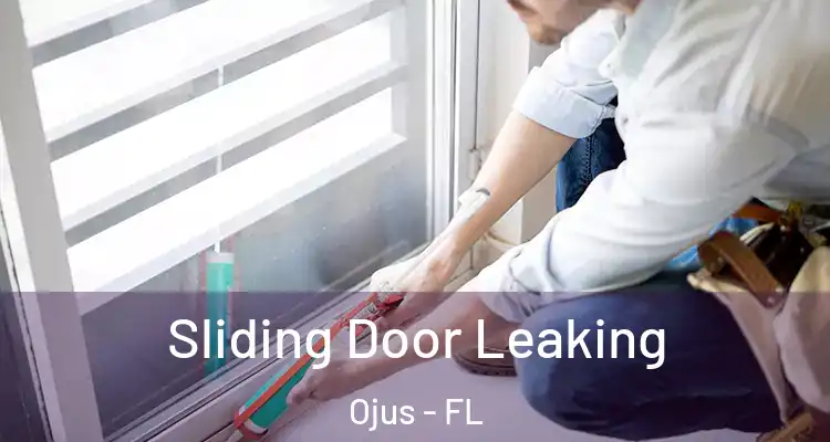  Sliding Door Leaking Ojus - FL