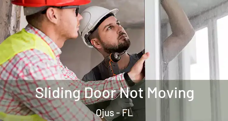  Sliding Door Not Moving Ojus - FL