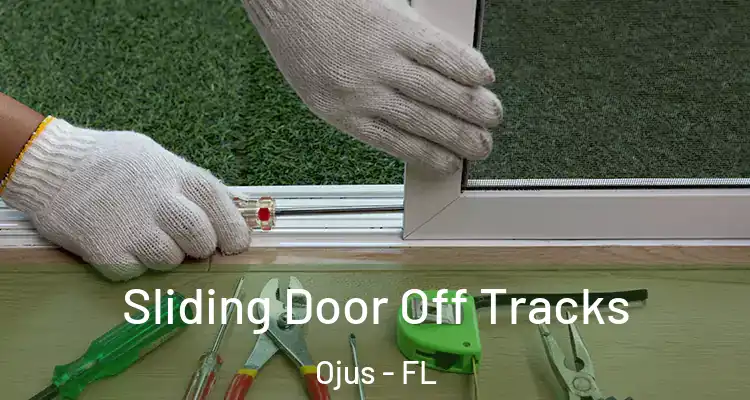  Sliding Door Off Tracks Ojus - FL
