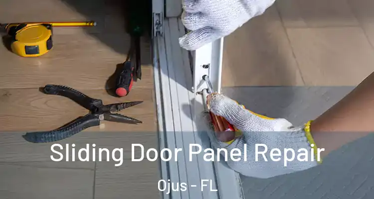  Sliding Door Panel Repair Ojus - FL