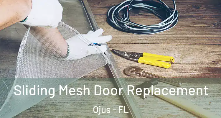  Sliding Mesh Door Replacement Ojus - FL