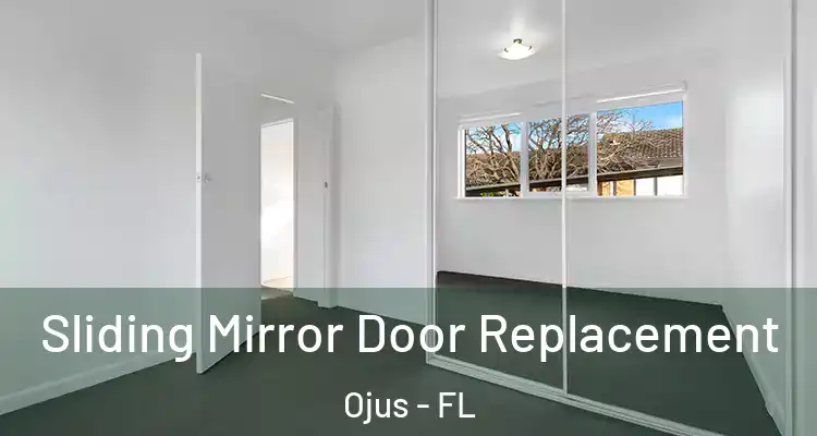  Sliding Mirror Door Replacement Ojus - FL