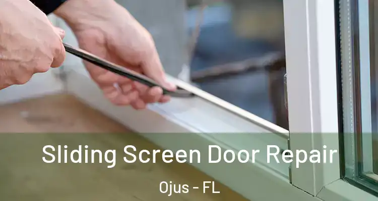  Sliding Screen Door Repair Ojus - FL
