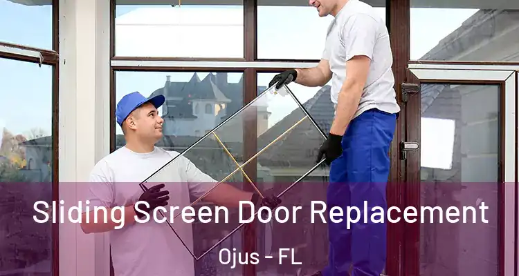  Sliding Screen Door Replacement Ojus - FL