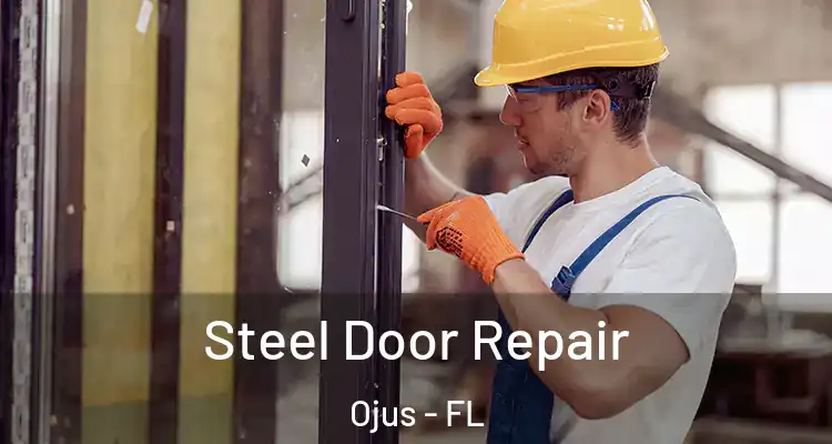  Steel Door Repair Ojus - FL