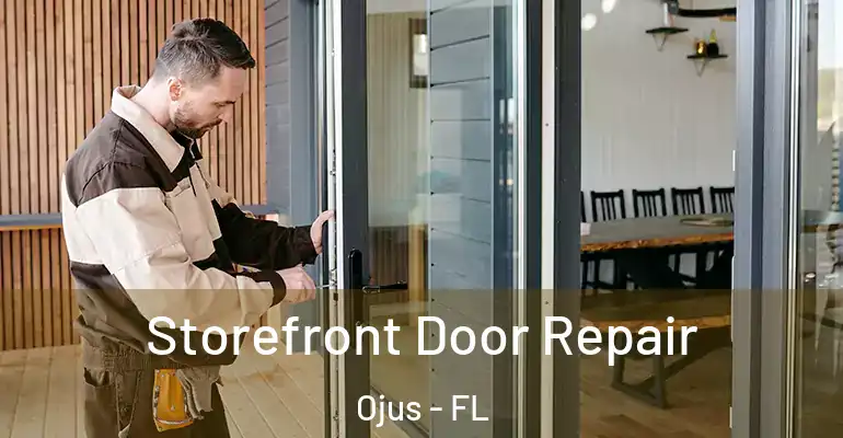  Storefront Door Repair Ojus - FL