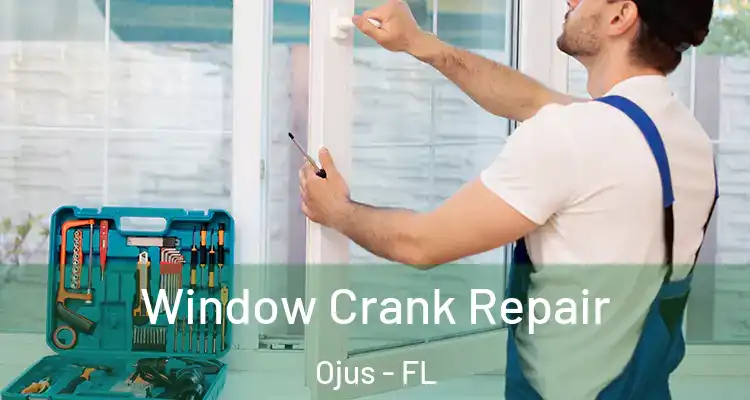  Window Crank Repair Ojus - FL