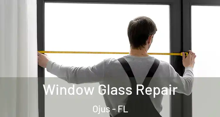  Window Glass Repair Ojus - FL