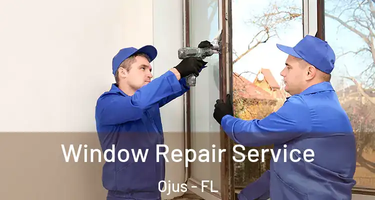  Window Repair Service Ojus - FL