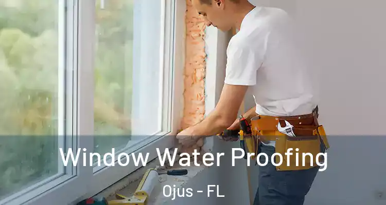  Window Water Proofing Ojus - FL