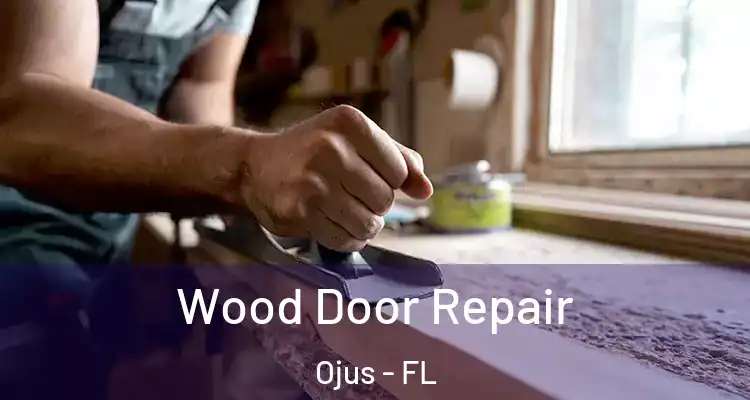  Wood Door Repair Ojus - FL